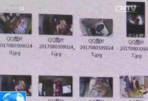 景宁新闻爆料视频最新,最新爆料视频揭示惊人内幕